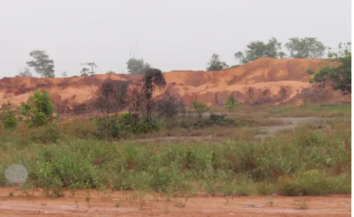 Gambar 6. Tanah merah bekas tambang yang ditinggalkan (Foto: Rositasari, 2015)