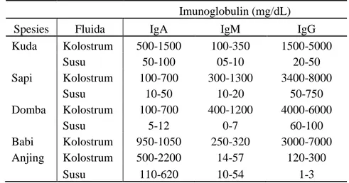 Tabel 1.  Kandungan  imunoglobulin  dalam  kolostrum  dan  susu  pada  hewan          domestik (Tizard 2004)   
