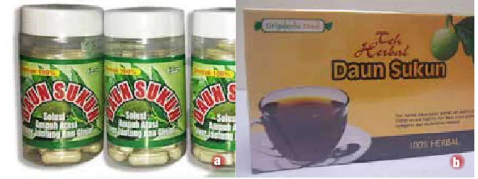 Gambar 15.  Contoh produk obat herbal dari daun sukun 