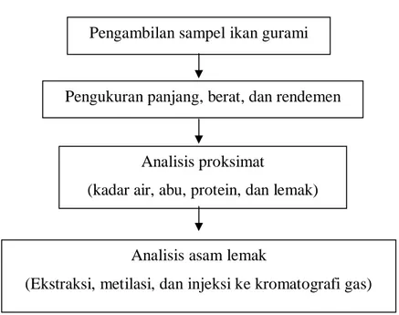 Gambar 3. Diagram alir penelitian Pengambilan sampel ikan gurami 