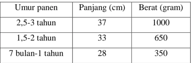 Tabel 2. Umur panen, panjang, dan berat ikan gurami (Osphronemus gouramy)  Umur panen  Panjang (cm)  Berat (gram) 