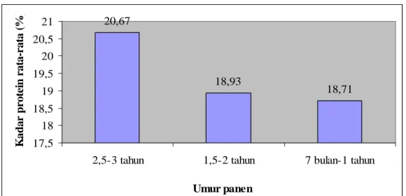 Gambar 10. Kadar protein rata-rata daging ikan gurami pada berbagai umur panen 