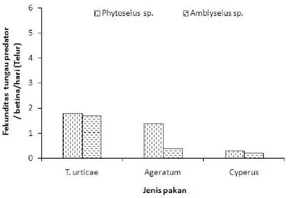 Gambar  6.  Fekunditas  rata-rata  tungau  predator  Phytoseius  sp.  dan  Amblyseius  sp