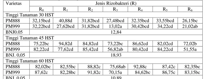 Tabel 1.   Rata-rata Tinggi Tanaman (cm) Cabai Merah  Varietas PM888 dan PM999 Umur  30,  45 dan 60 HST pada Tiap Taraf Perlakuan Benih dengan Rizobakteri 