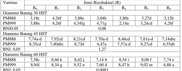 Tabel 2.   Rata-rata Diameter Batang Tanaman Cabai Merah (mm) Varietas PM888 dan PM999  Umur 30, 45 dan 60 HST pada Tiap Taraf Perlakuan Benih dengan Rizobakteri  