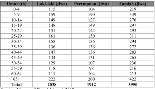Tabel 4. Komposisi Penduduk Menurut Umur dan Jenis Kelamin Tahun 2012  Umur (th)  Laki-laki (jiwa)  Perempuan (jiwa)  Jumlah (jiwa) 