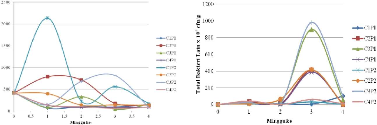 Gambar 1. Grafik viabilitas (a) Rhizobacteri indigenous Merapi dan (b) bakteri lain selama 4  minggu masa penyimpanan 