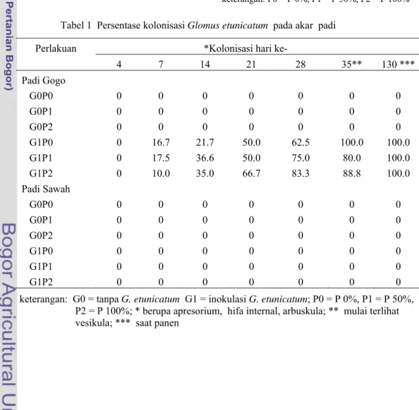 Tabel 2  Jumlah spora G.etunicatum  pada padi  gogo berumur 130 HST yang  menda-pat perlakuan G
