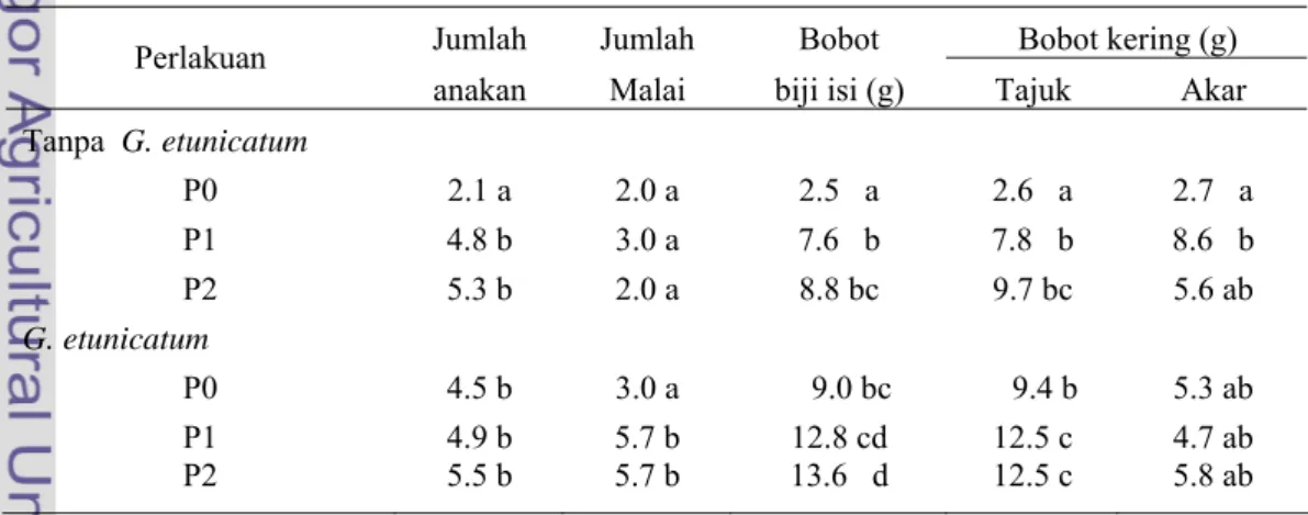 Tabel 4  Respons peubah fase vegetatif dan generatif padi gogo pada  kombinasi perlakuan  Glomus etunicatum dan P 
