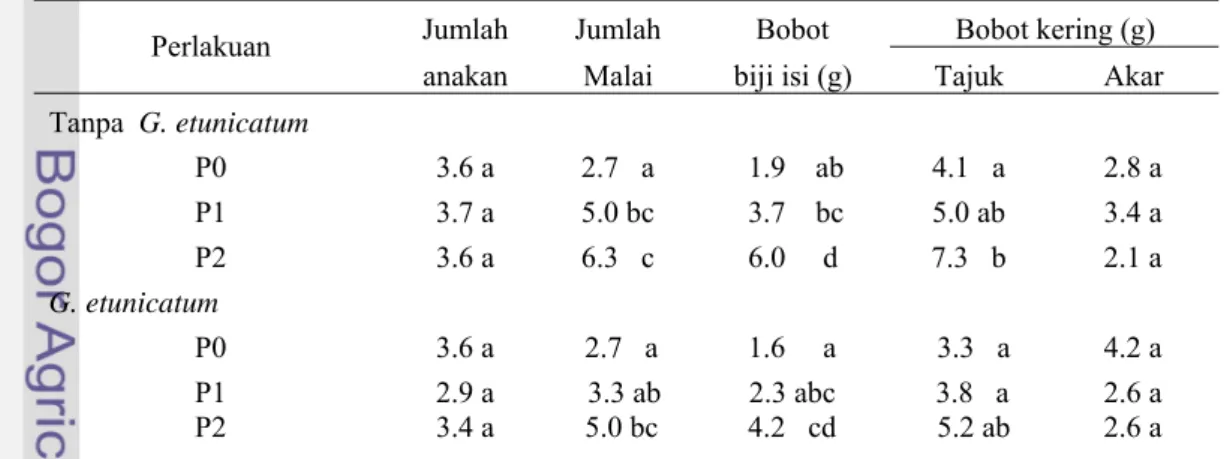 Tabel 6  Respons peubah vegetatif dan generatif  padi sawah  pada kombinasi perlakuan Glomus  etunicatum dan P 