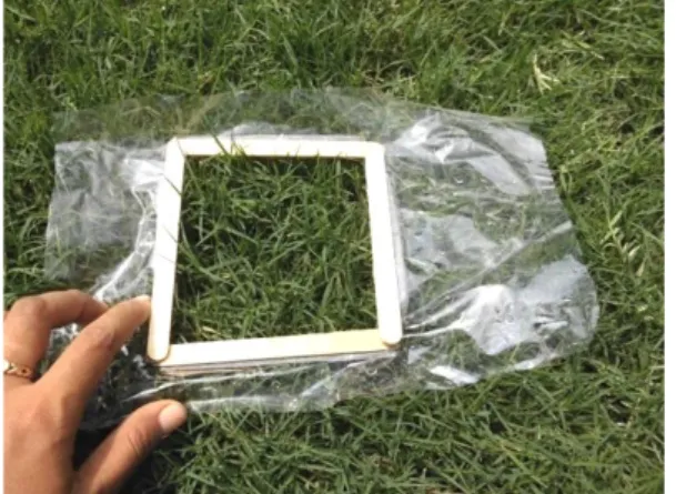 Gambar 8  Kuadran 10 cm x 10 cm dari stik es krim digunakan saat pengamatan  kepadatan pucuk dan pengambilan bobot pangkasan 