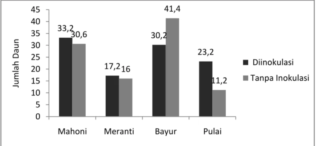 Gambar 2. Grafik perbandingan rata-rata pertambahan jumlah daun antara diinokulasi  ektomikoriza dengan yang tidak diinokulasi