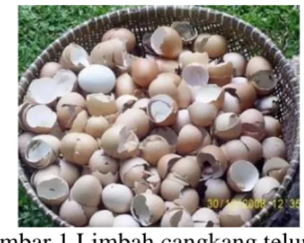 Gambar 1 Limbah cangkang telur Peran Industri Makanan dari Es Krim Susu Kedelai 