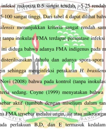 Tabel 4. Persentase kolonisasi  FMA pada tanaman karet (Hevea brasilensis)selama 8 minggu pengamatan.