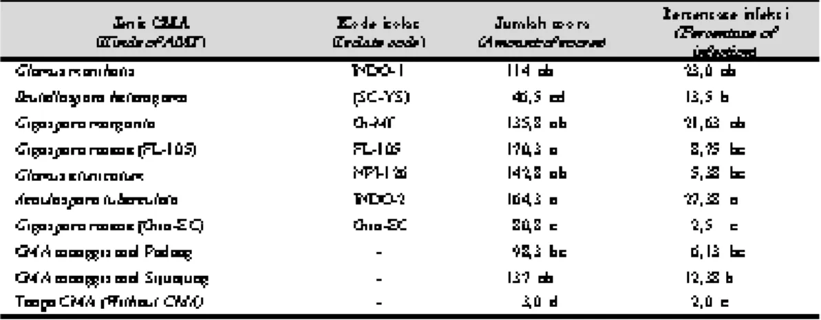 Tabel 2. Jumlah spora dalam 50 g media dan persentase infeksi berbagai jenis CMA pada bibit batang  bawah jeruk JC 3 bulan setelah inokulasi