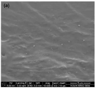 Gambar 8  Mikrograf elektron pemayaran film plastik perbesaran 7500. (a) pati 1.5 g, (b) pati 1.75 g, (c) pati 2.0 g, (d) pati 3.0 g