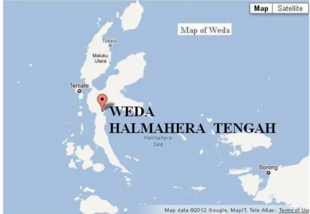 Gambar 1.  Lokasi Penelitian di Weda, Halmahera Tengah (Sumber: Google 2014). 