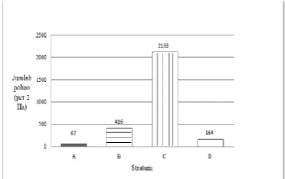 Gambar 4.  Stratifikasi Vegetasi di Hutan Pendidikan USU  Gambar  4  menyatakan  bahwa  di  Hutan  Pendidikan USU, stratifikasi vegetasinya tersusun atas  stratum  A,  B,  C,  dan  D