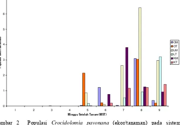 Gambar 2  Populasi Crocidolomia pavonana (ekor/tanaman) pada sistem pertanian organik, input rendah dan konvensional