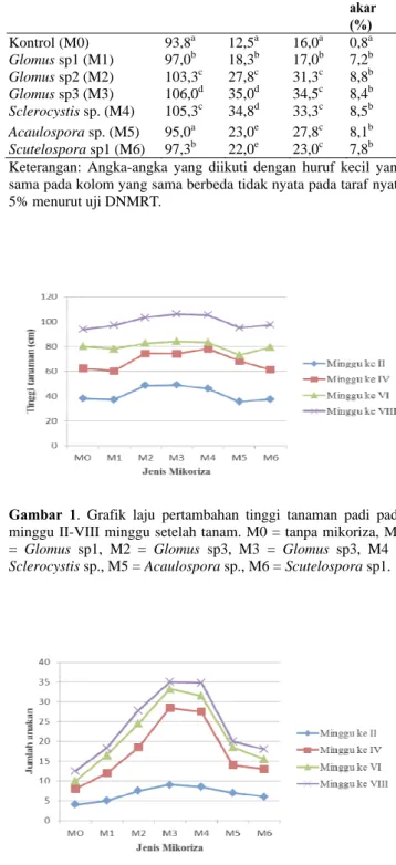 Gambar 1. Grafik laju pertambahan tinggi tanaman padi pada  minggu II-VIII minggu setelah tanam