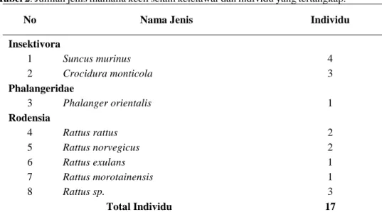 Tabel 2. Jumlah jenis mamalia kecil selain kelelawar dan individu yang tertangkap.