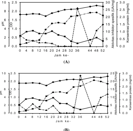 Gambar 1. Aktivitas inhibitor protease (UA/mg), protein, OD, pH isolat 6A3 pada media glukosa 0,1% (w/v),  special peptone 0,5% (w/v), yeast extract 1,0%  (w/v),  trace element 0,2% (v/v) (A) pH awal  7  (G01-172) ; (B) pH awal 8 (G01-182) -▲- aktivitas in