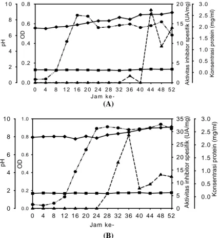 Gambar  2. Aktivitas inhibitor protease (UA/mg), protein, OD, pH isolat 6A3 pada media glukosa 0,1% w/v,  special peptone 0,5% w/v, yeast extract 0,5% w/v,  trace element 0,2% v/v (A) pH awal 7  (G01-272(YE0,5)) ; (B) pH awal 8 (G01-282(YE0,5)) -▲- aktivit