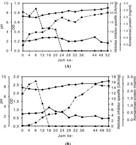 Gambar 3.  Aktivitas inhibitor protease (UA/mg), protein, OD, pH isolat 6A3 pada media  glukosa 0,1% (w/v),  special peptone 0,5% (w/v), yeast extract 0,1% (w/v),  trace element 0,2% (v/v) (A) pH awal media  7 (G01-272);  (B) pH awal media 8 (G01-282) )) -