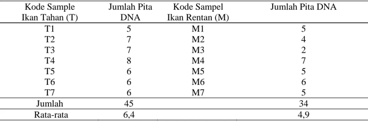 Tabel 4.  Jumlah dan rata-rata pita DNA ikan kerapu macan yang tahan (T) dan rentan (M)