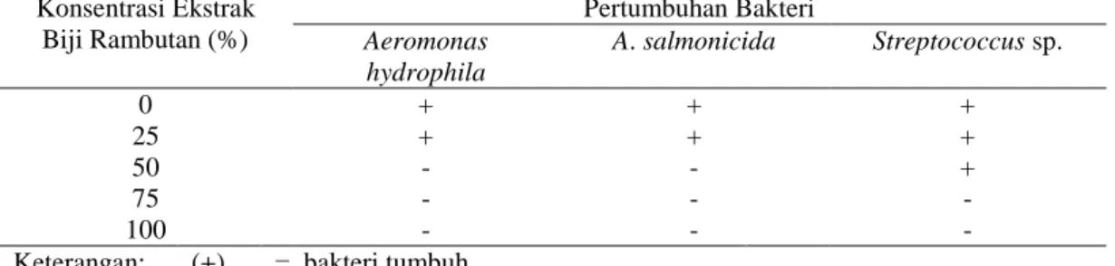 Tabel  3.    Pengujian  Minimum  Inhibitory  Concentration  (MIC)  (%)  dari  ekstrak  biji  rambutan  (Nephelium  lappaceum)  pada  tiga  bakteri  patogen  pada  ikan