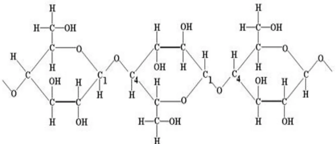 Gambar 4. Rumus Molekul Selulosa 