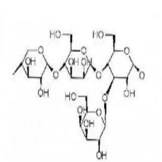 Gambar 6. Senyawa Hemiselulosa 
