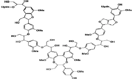 Gambar 4. Struktur molekul lignin     Sumber : (Sungai, 2009) 