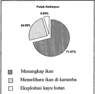 Gambar  4.  Proporsi  peranan  sumber  pendapatan  responden 