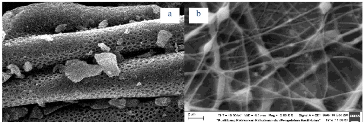 Gambar 2. Pengamatan morfologi menggunakan SEM perbesaran 2500x pada microfiber (Bahmid et al., 2013)  (a) dan nanofiber (b) selulosa asetat 