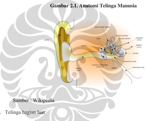 Gambar 2.1. Anatomi Telinga Manusia 