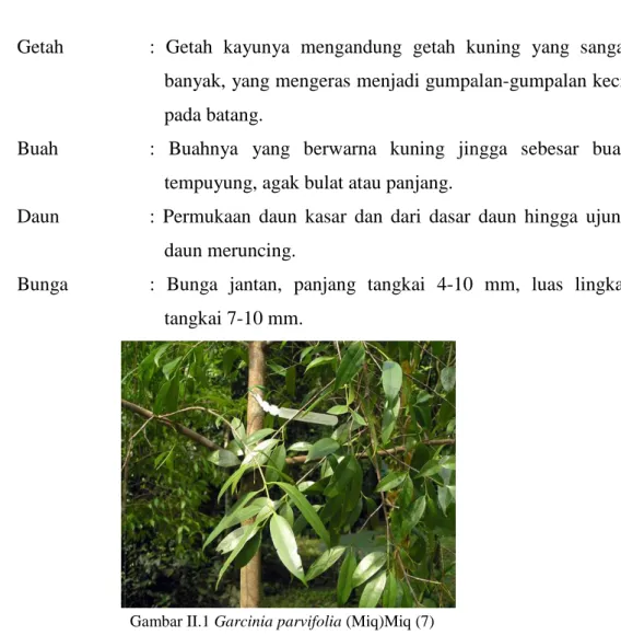Gambar II.2 Rumus Umum Xanton ( 9) 