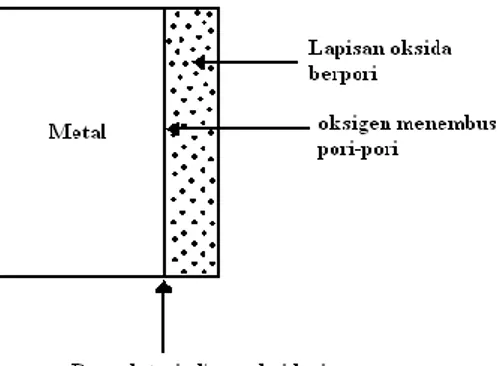 Gambar 2. Lapisan oksida berpori 
