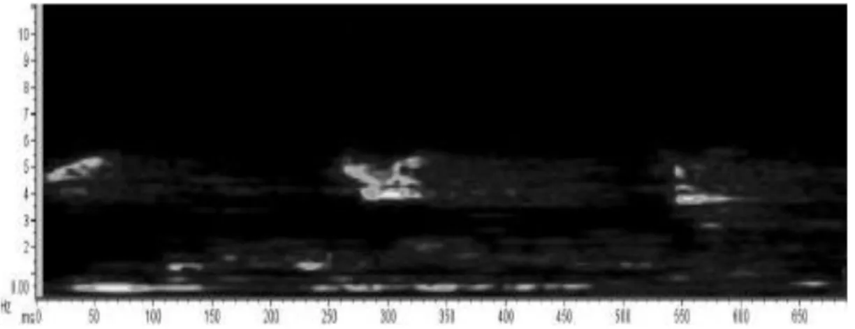 Gambar 1. Spektrum suara klik lumba-lumba jantan menggukan Raven Pro 1.5 (  Wulandari et al