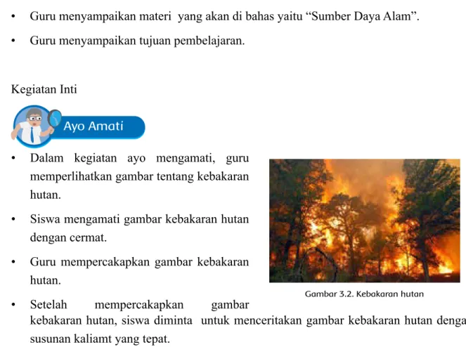 Gambar 3.2. Kebakaran hutan