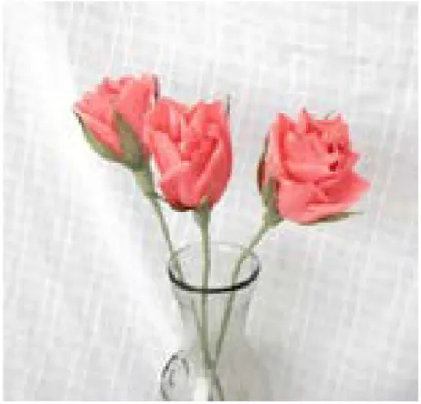 Gambar 1.36, Bunga mawar dengan tangkai  ranting pohon