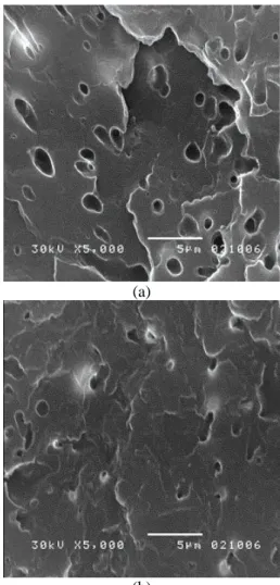 Gambar 1. Micrograph SEM blend NR/PP: a. NR/PP  10/90, b. NR/PP 50/50 