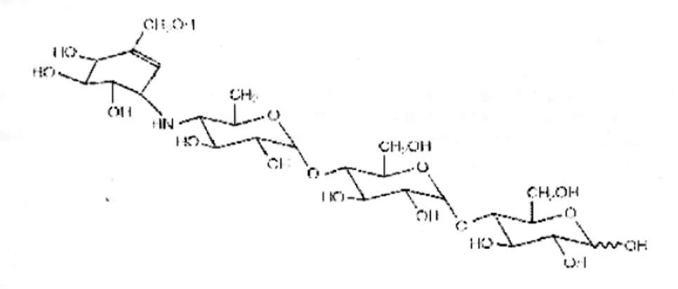 Gambar 8.   Struktur kimia Acarbose 