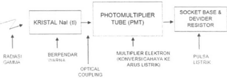 Gambar 12. Konfigurasi Blok Kristal Nal(TI), Socket Base &amp; Photomultiplier Tube