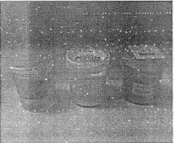 Gambar 2.  Sumber standar clan sampel dalam wadah  vial  U-8 urut  dari  kiri  ke kanan standar152Eu,  sampel alumina  (AI-1319), clan sampel tanah.