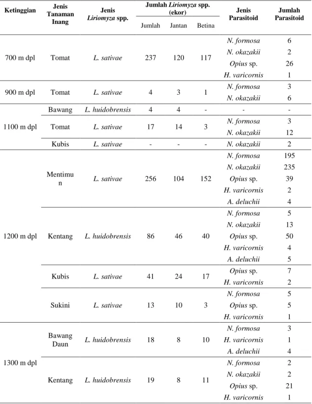 Tabel 1. Keragaman dan Kelimpahan Populasi Liriomyza spp. dan Parasitoidnya  Ketinggian  Jenis  Tanaman  Inang  Jenis  Liriomyza spp