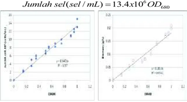 Gambar 9.  Pengaruh  kecepatan  putaran  paddle terhadap  pertumbuhan  mikroalga  Chlorella  dalam bioreaktor.