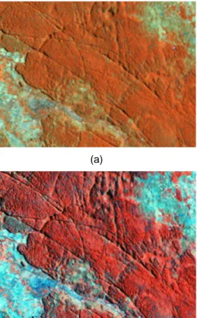 Gambar  1.  Citra  Landsat  7  RGBI  4578  (a)  sebelum; dan (b) sesudah penajaman kontras 