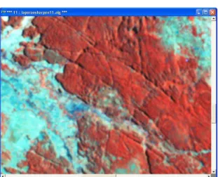 Gambar 2. Citra Landsat hasil pemfilteran  spasial (a) filter highpass filter sharpen11; dan 