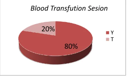 Gambar 4.7 Pie Chart Blood Transfusion Session 